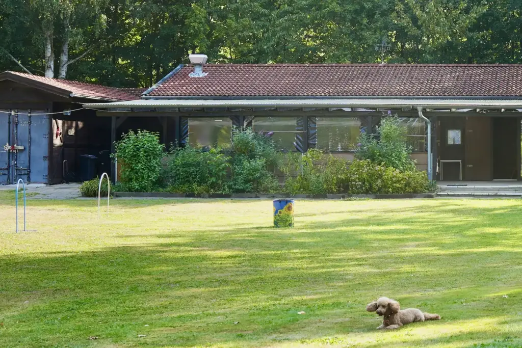 Das Klubhaus mit rotem Ziegeldach und überdachter Veranda, davor die Rasenfläche mit Hoops und einer Tonne, vorn liegt ein brauner Pudel